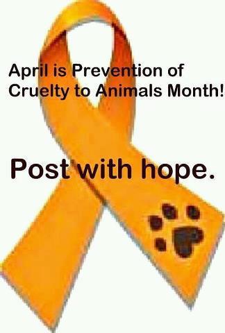 Lucknow-Huron Veterinary Services | 623 Campbell St, Lucknow, ON N0G 2H0, Canada | Phone: (519) 528-3737