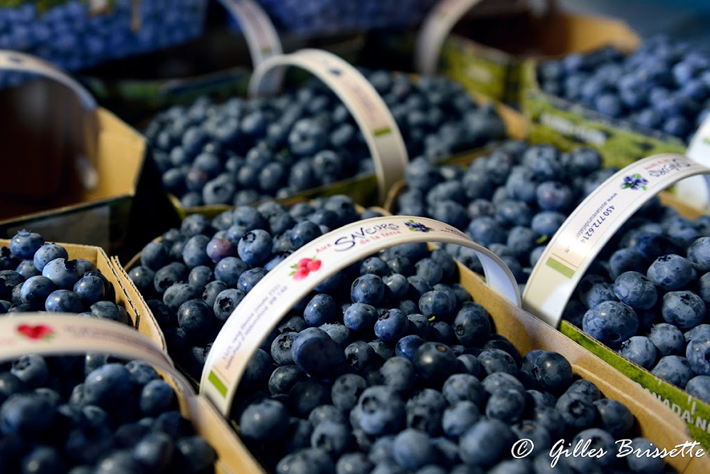 Aux saveur de la terre | 1325 Rang Elmire, Saint-Paul-dAbbotsford, QC J0E 1A0, Canada | Phone: (450) 772-6214
