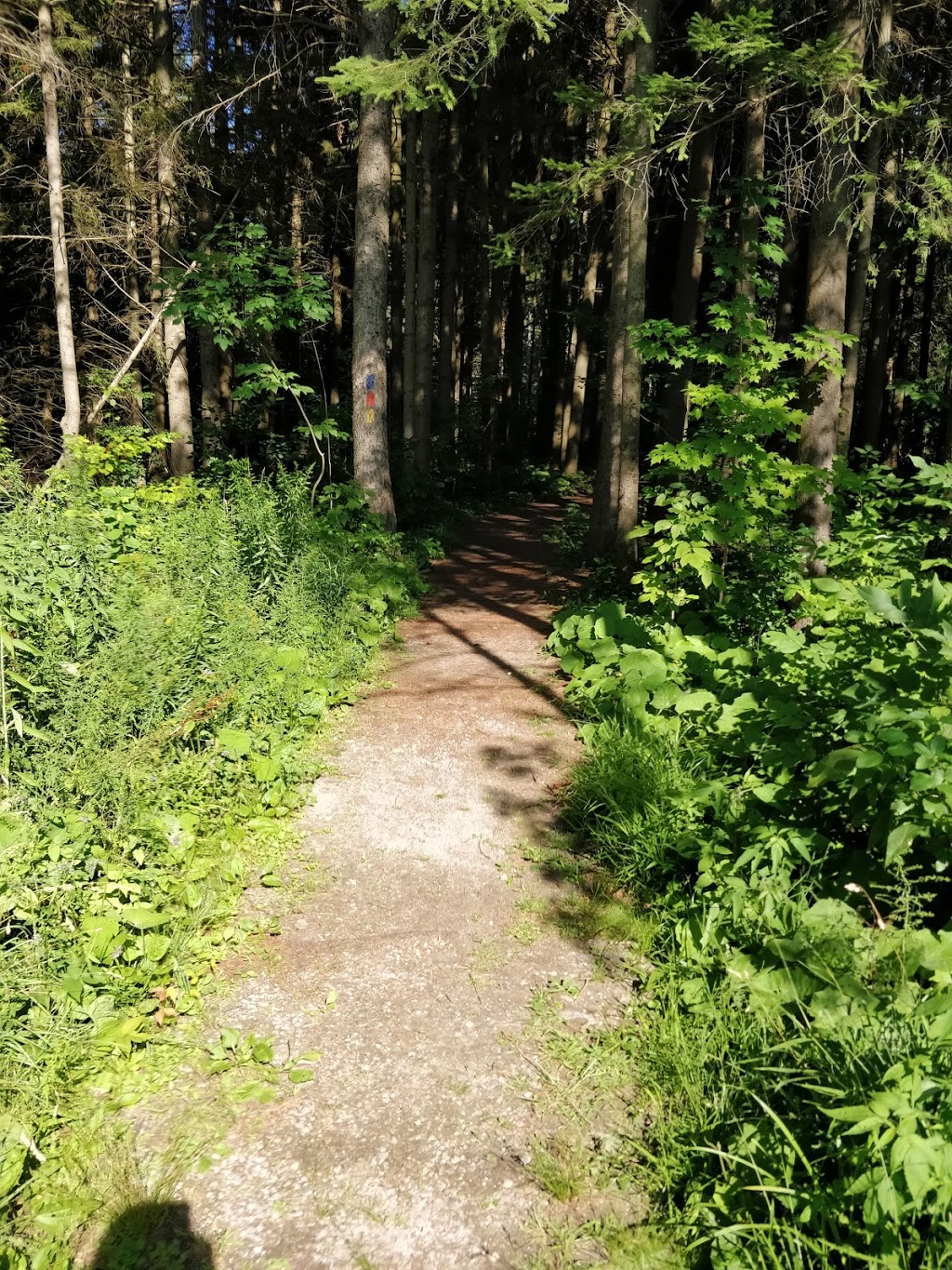 Naftels Creek Conservation Area | 79154 Bluewater Hwy, Goderich, ON N7A 3X8, Canada
