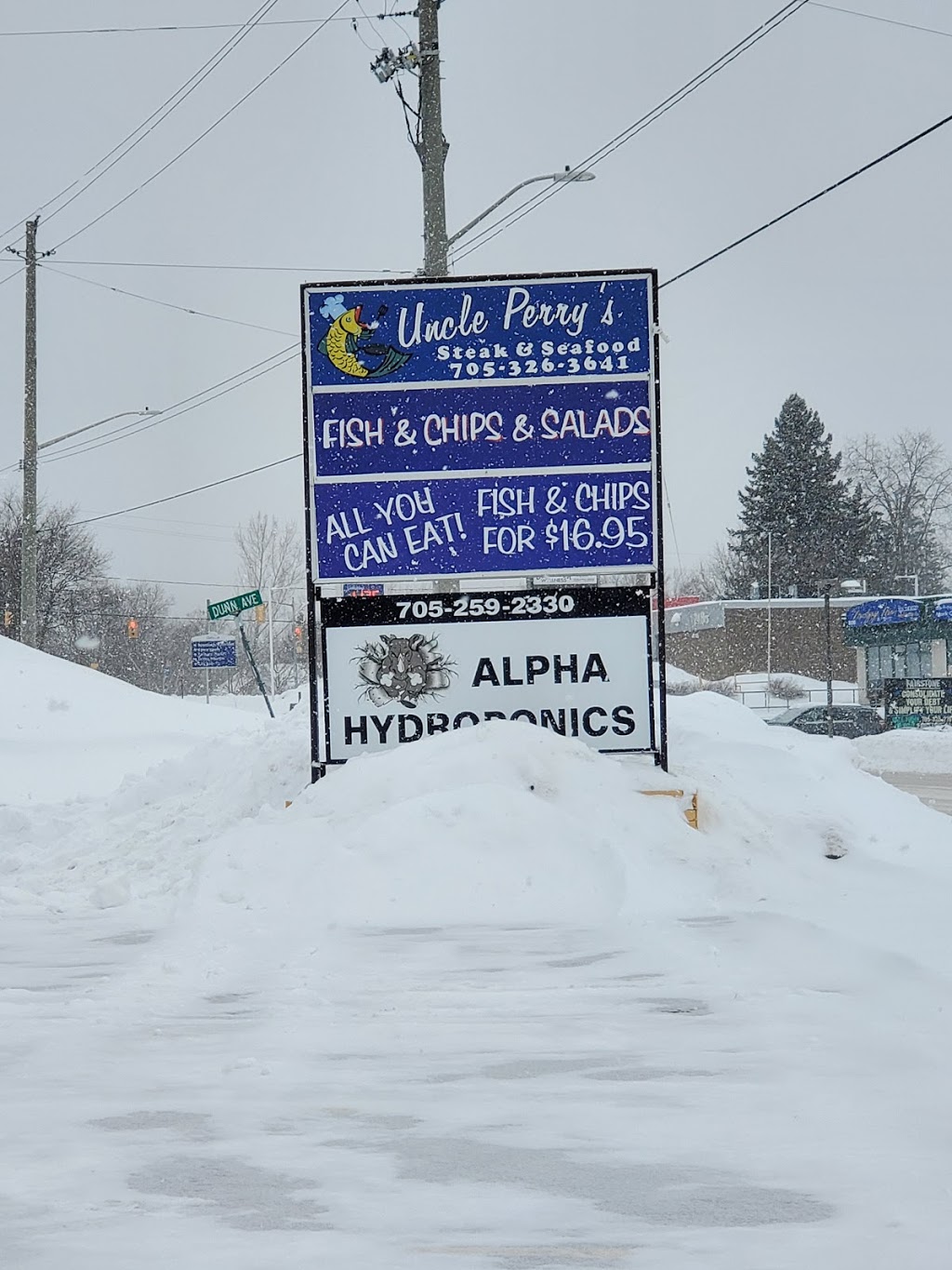Uncle Perrys Fish & Chips, Steak & Seafood | 195 Memorial Ave, Orillia, ON L3V 5X8, Canada | Phone: (705) 326-3641