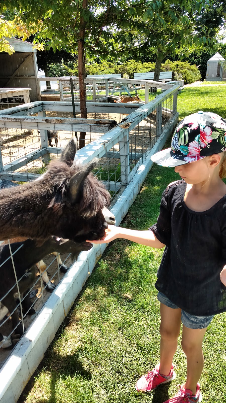 La Ferme de Cariphaël | 381 Des 60 Rang, Saint-Marc-sur-Richelieu, QC J0L 2E0, Canada | Phone: (450) 584-2924