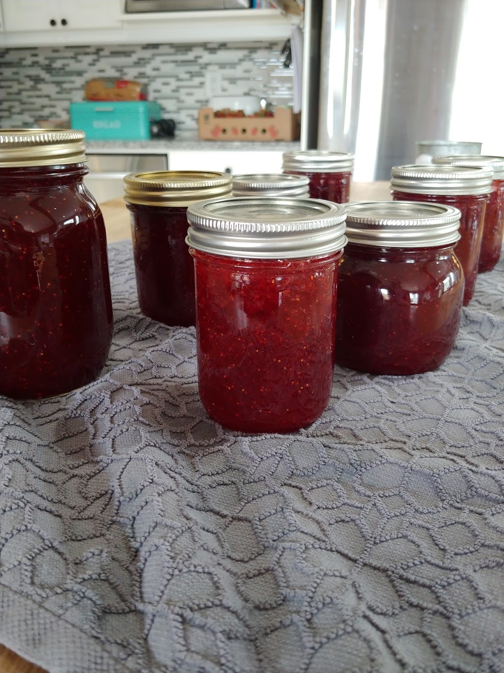 Berrys 4 U | 64383 Dufferin County Rd 3, East Garafraxa, ON L9W 7J5, Canada | Phone: (519) 993-4437