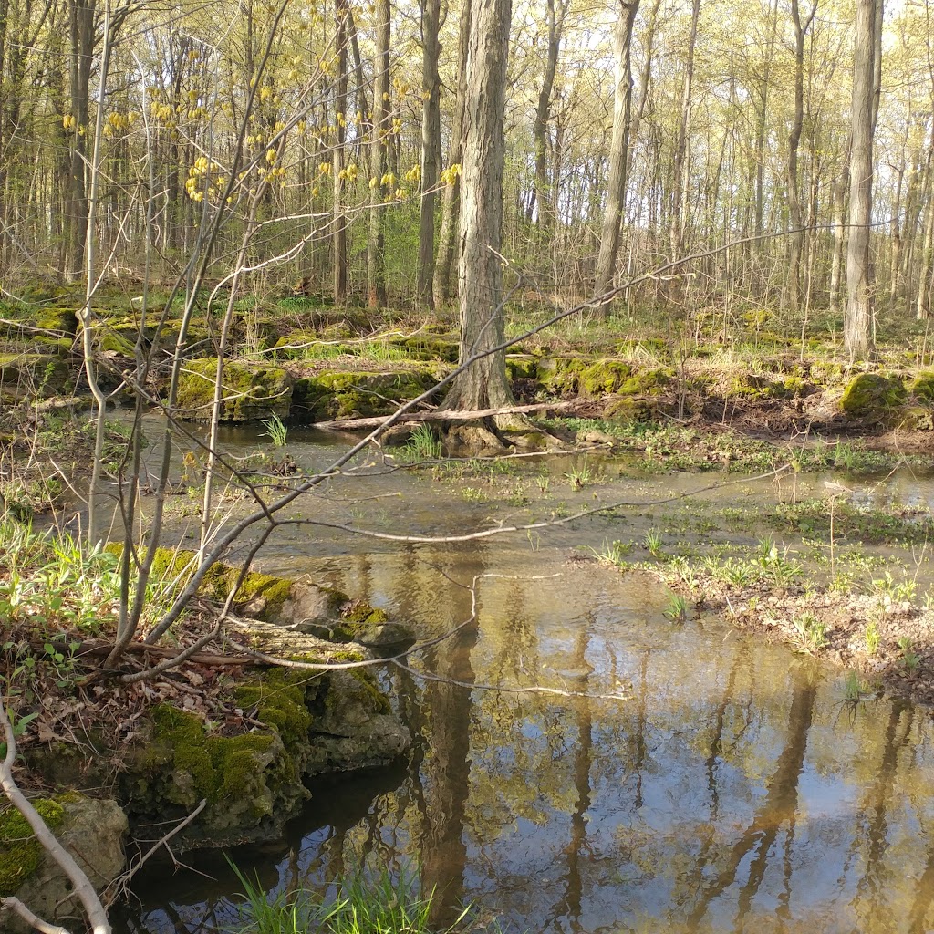 King Rd Bruce trail Access | 1918-1924 King Rd, Waterdown, ON L0R 2H1, Canada