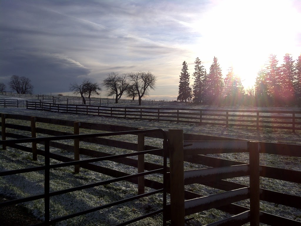 Rivett Farm | 1447 Concession Rd 9, Blackstock, ON L0B 1B0, Canada | Phone: (905) 626-0745