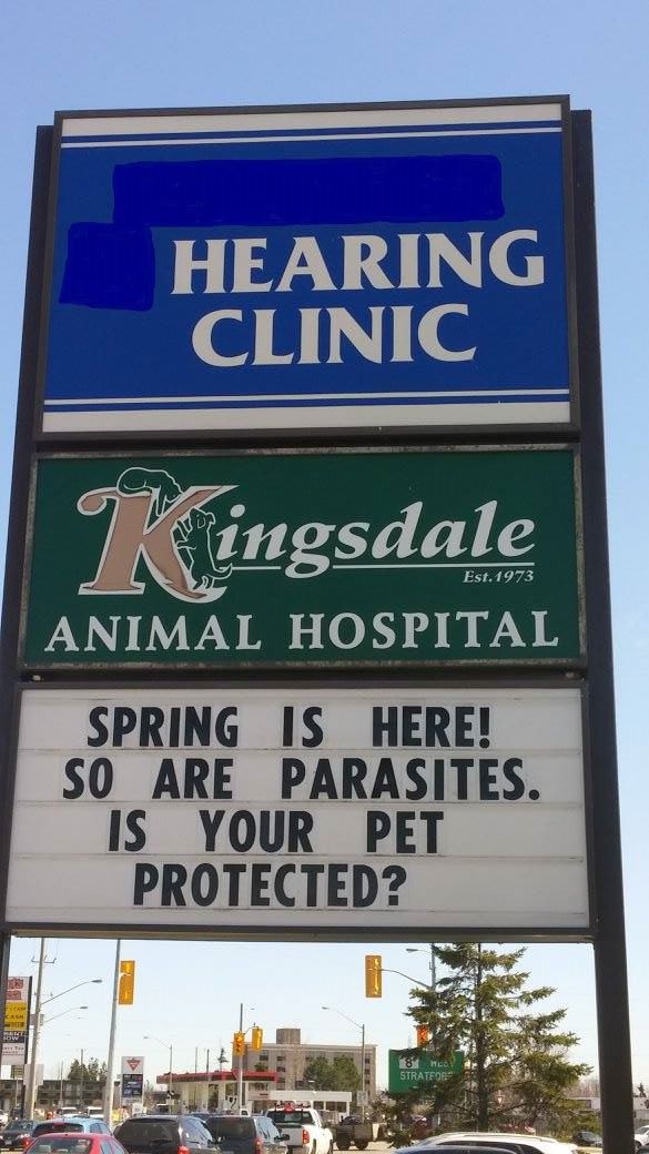 Centre for Better Hearing | 1501 Weber St E, Kitchener, ON N2A 1A5, Canada | Phone: (519) 893-7663