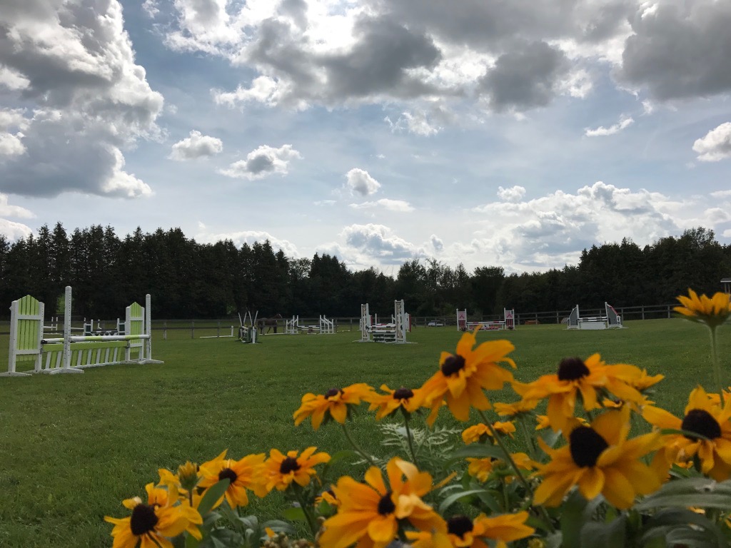 Sunnymead Farm | 1060 Frank Hill Rd, Omemee, ON K0L 2W0, Canada | Phone: (705) 760-5741