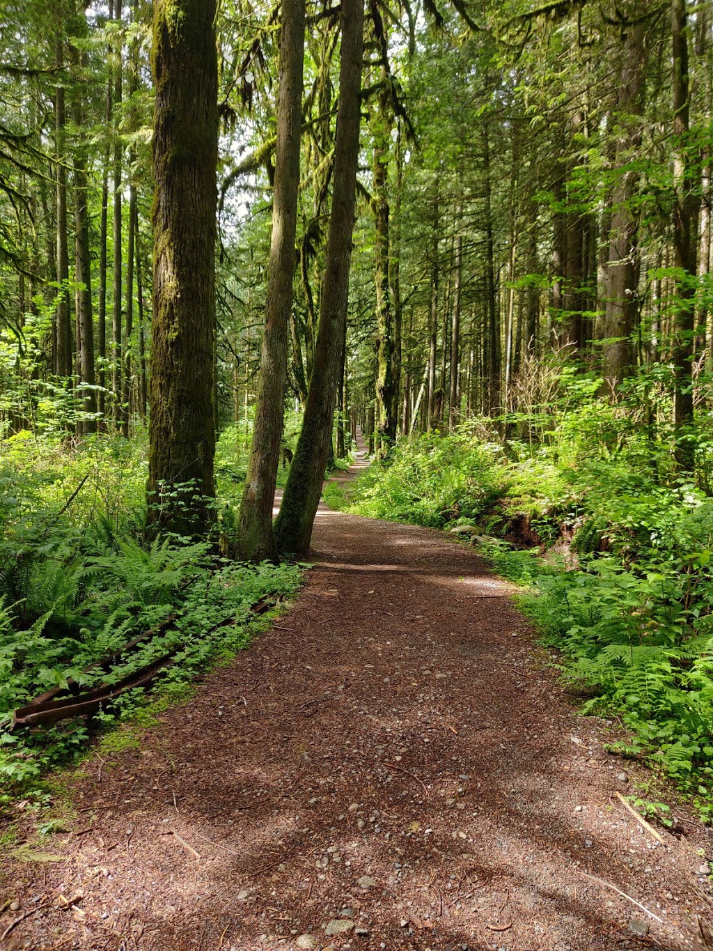 Golden Ears Park - Main Coral | Golden Ears Pkwy, Maple Ridge, BC V0M, Golden Ears Pkwy, Maple Ridge, BC V0M, Canada | Phone: (604) 466-8325