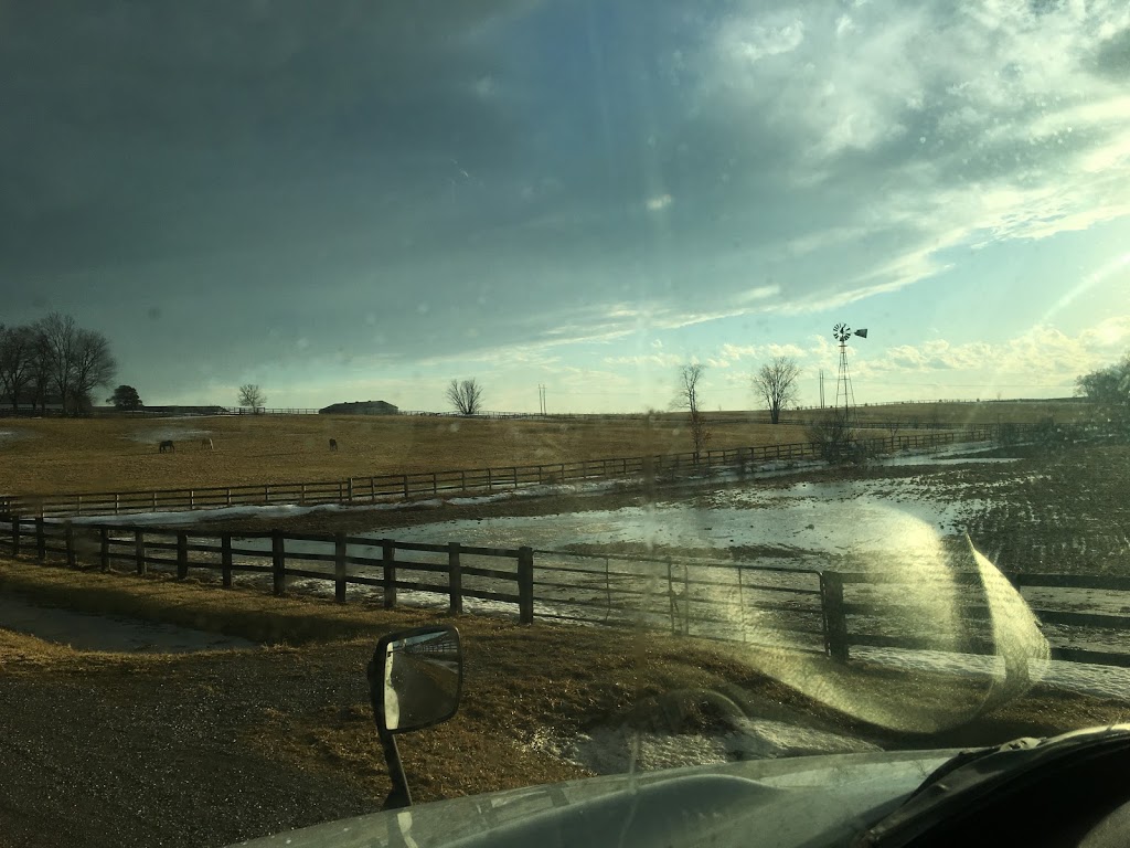 Spring Farms | 33933 Prospect Hill Rd, Granton, ON N0M 1V0, Canada | Phone: (519) 225-2845