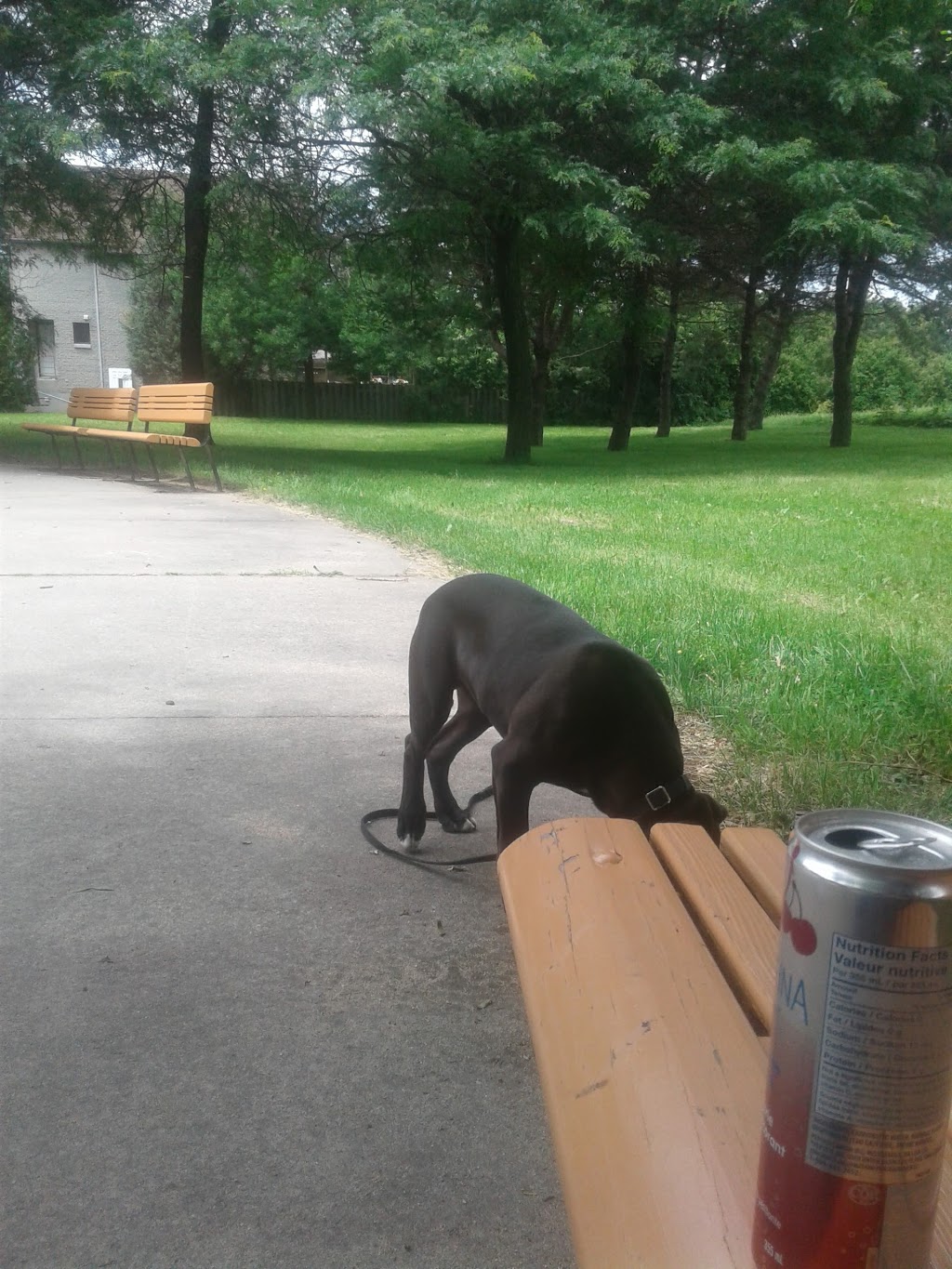 Jeux deau - Parc Achille-Fortier | 1507 36e Avenue, Pointe-aux-Trembles, QC H1A 5E2, Canada