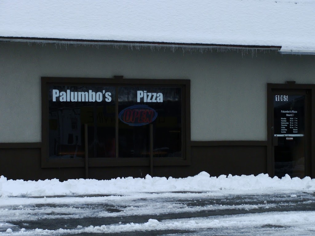 Palumbos Pizzeria | 1065 Sheridan Dr, Tonawanda, NY 14150, USA | Phone: (716) 332-1010