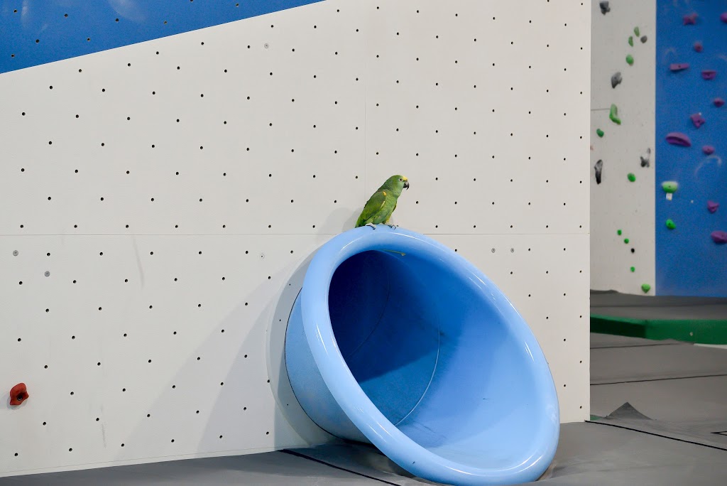 Hub Climbing Markham | 165 McIntosh Dr, Markham, ON L3R 0N6, Canada | Phone: (905) 604-4588
