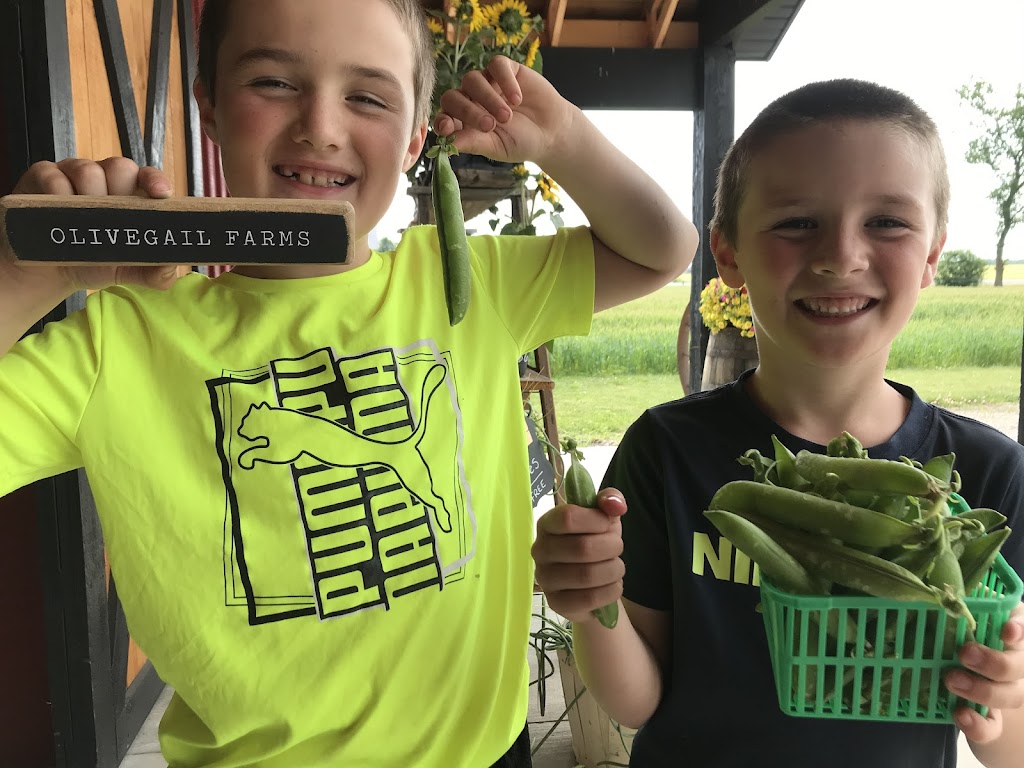 OliveGail Farm Market | 724 Hwy 7, Oakwood, ON K0M 2M0, Canada | Phone: (905) 447-3201