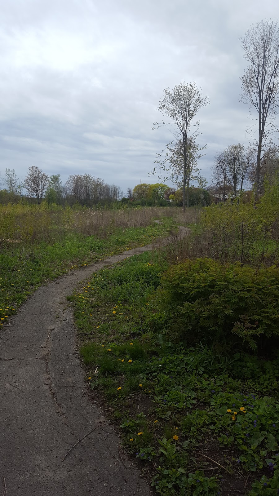 Durham Court Park | 330 Waverly St S, Oshawa, ON L1J 5V6, Canada | Phone: (905) 436-3311