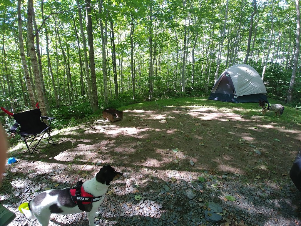 Valleyview Provincial Park | 960 Hampton Mountain Rd, Hampton, NS B0S 1L0, Canada | Phone: (902) 665-2559