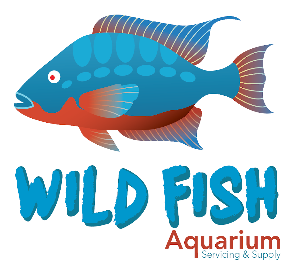 Wild Fish Aquarium(pet shop) | 51 McMurchy Ave S, Brampton, ON L6Y 1Y5, Canada | Phone: (905) 451-9453