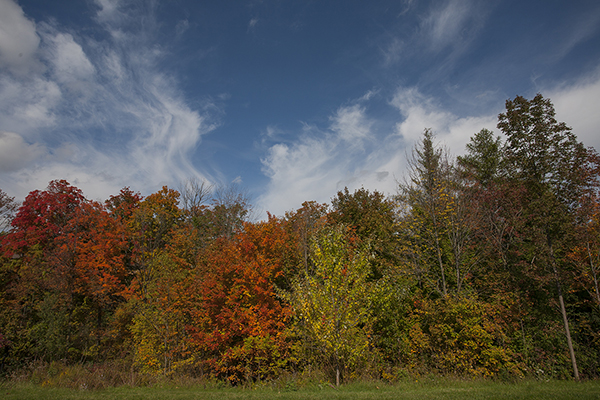 Arrested Images Photography and Design | Burlington, ON L7P 2Z9, Canada | Phone: (905) 483-0949