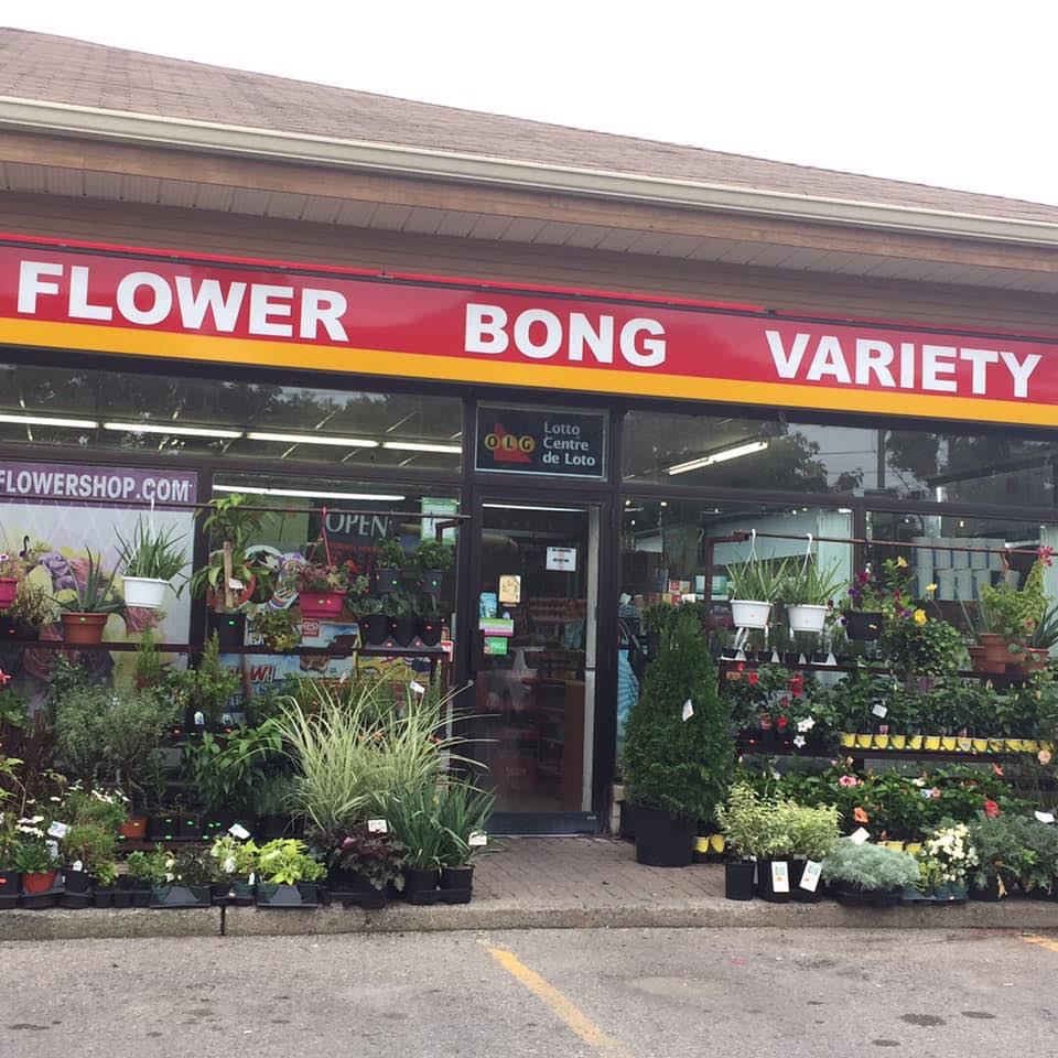 Flower Bong Variety | 1105 Finch Ave Unit 1, Pickering, ON L1V 1J7, Canada | Phone: (905) 831-1105