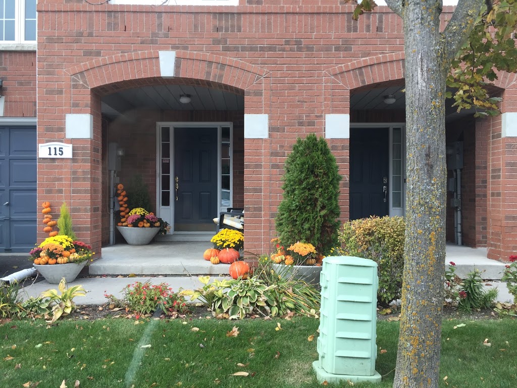 Afran group | Richmond Hill, ON L4C 0J9, Canada | Phone: (416) 627-2780