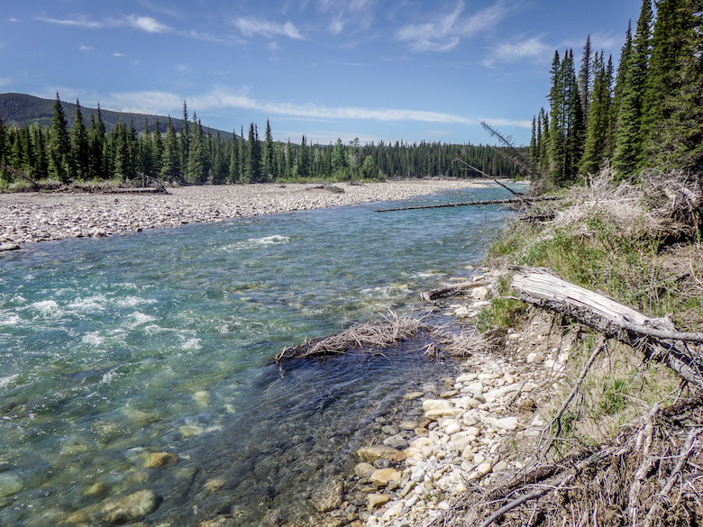 Kevin Bargholz- CIR Realty | Sundre, AB T0M 1X0, Canada | Phone: (403) 638-6583