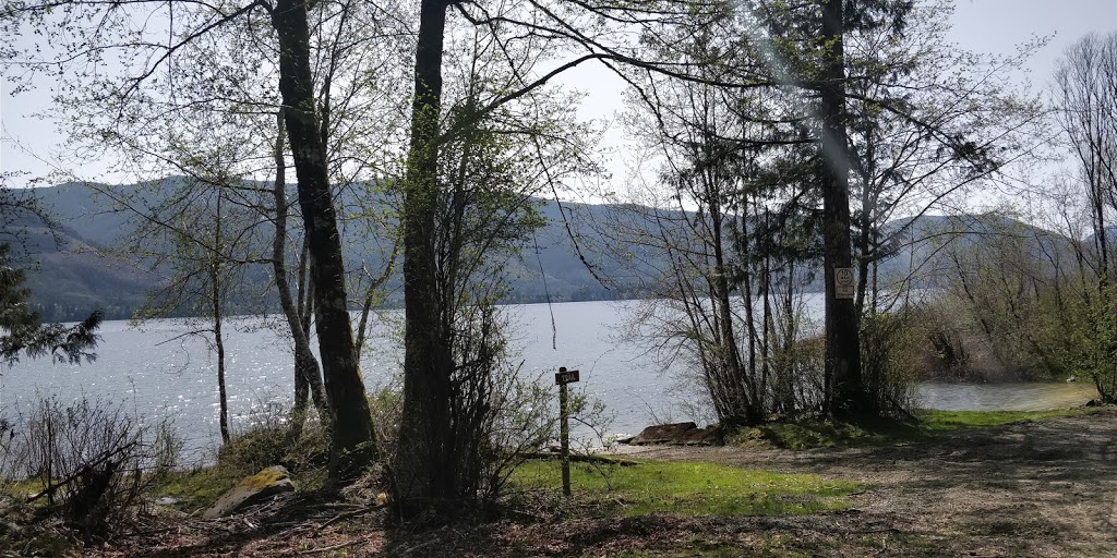 Pine Point Recreation Site | 11391-11457 N Shore Rd, Youbou, BC V0R 3E1, Canada | Phone: (250) 701-1976