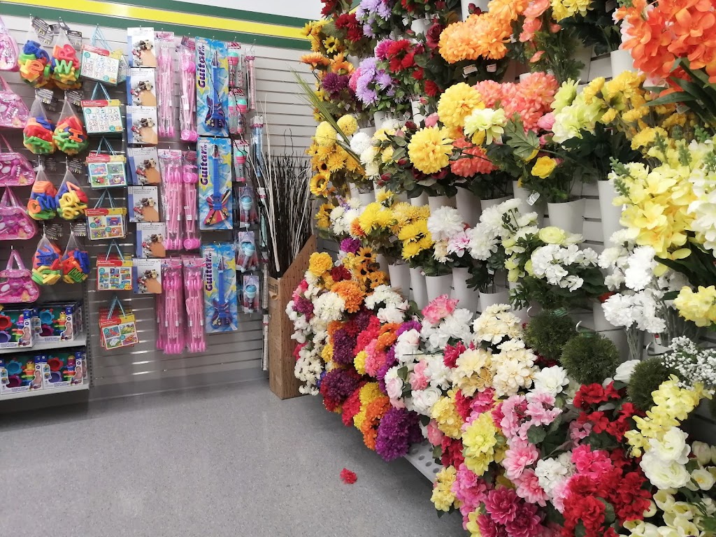 Dollarama | 45 Red Maple Rd, Richmond Hill, ON L4B 4M6, Canada | Phone: (905) 889-1854