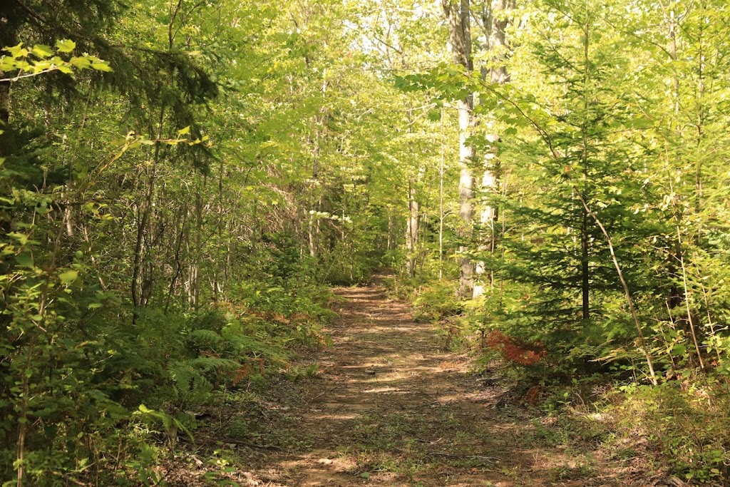 Sentier de lécole entrée sud | Route 530, Grande-Digue, NB E4R 5E1, Canada | Phone: (506) 345-1493