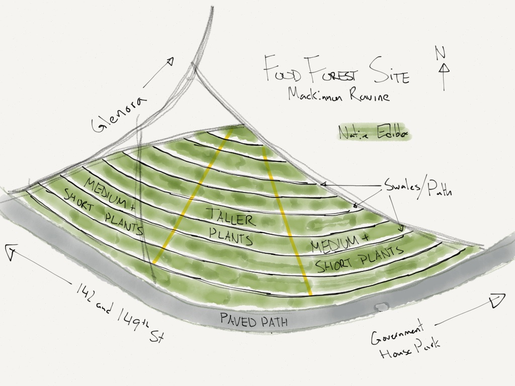MacKinnon Food Forest | River Valley Capitol Hill, Edmonton, AB T5N 3M7, Canada