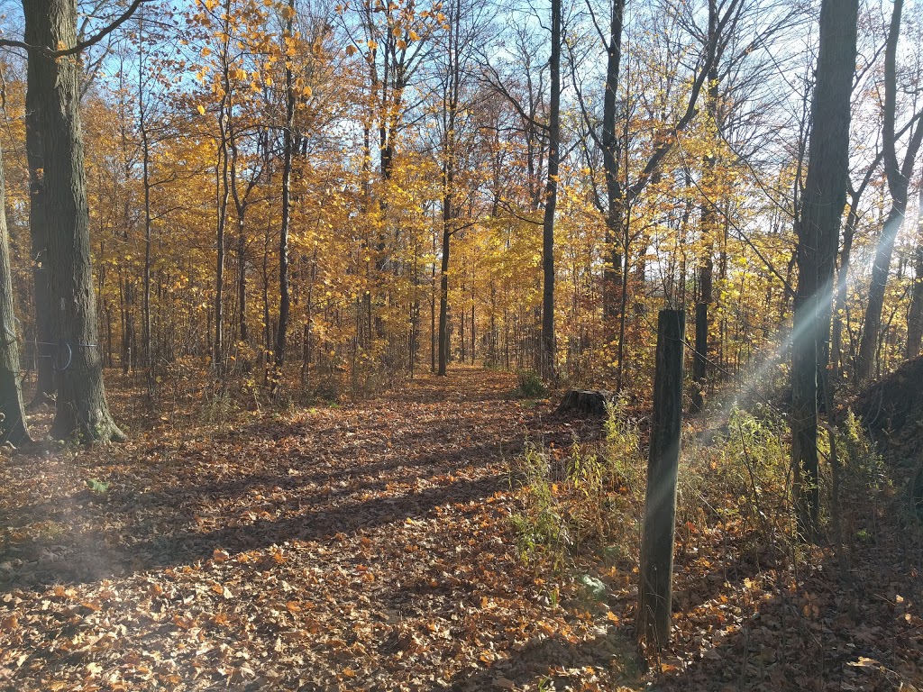 Purple Woods Conservation Area | 38 Coates Rd E, Oshawa, ON L1H 7K4, Canada | Phone: (905) 579-0411
