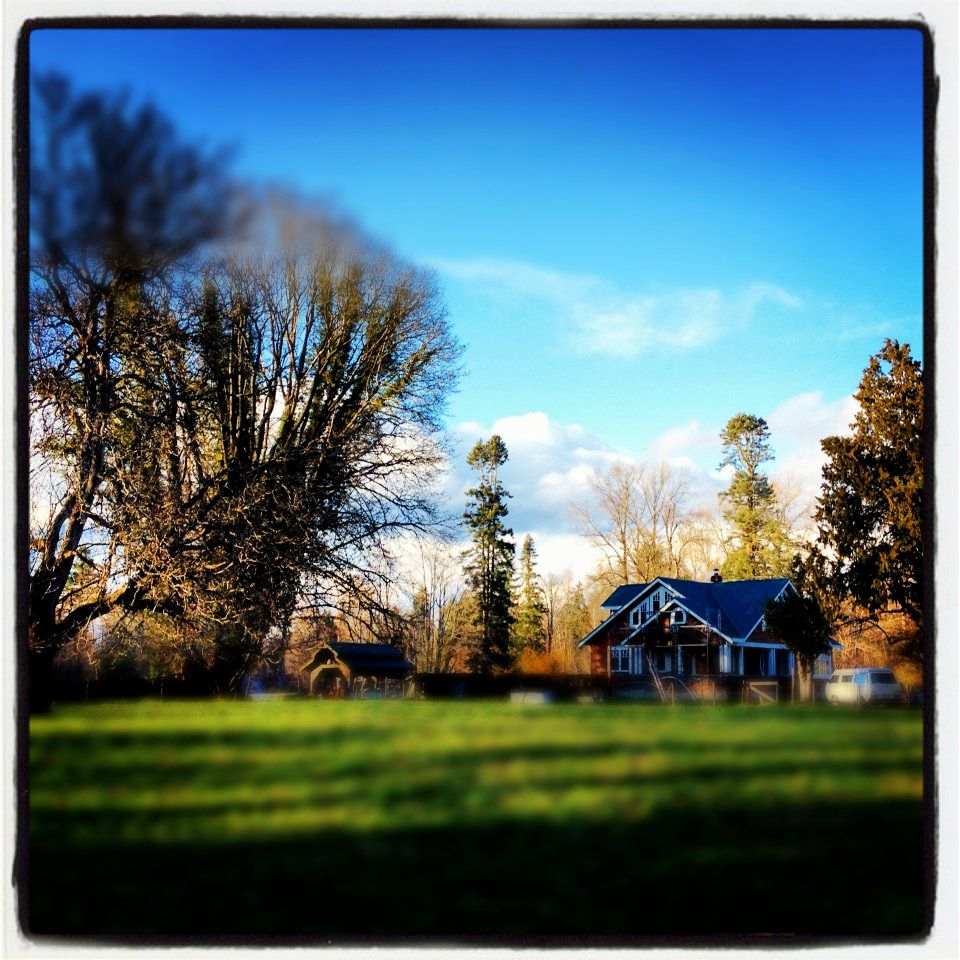 Waterloo Farms | 8282 Chemainus Rd, Chemainus, BC V0R 1K0, Canada | Phone: (250) 732-7699