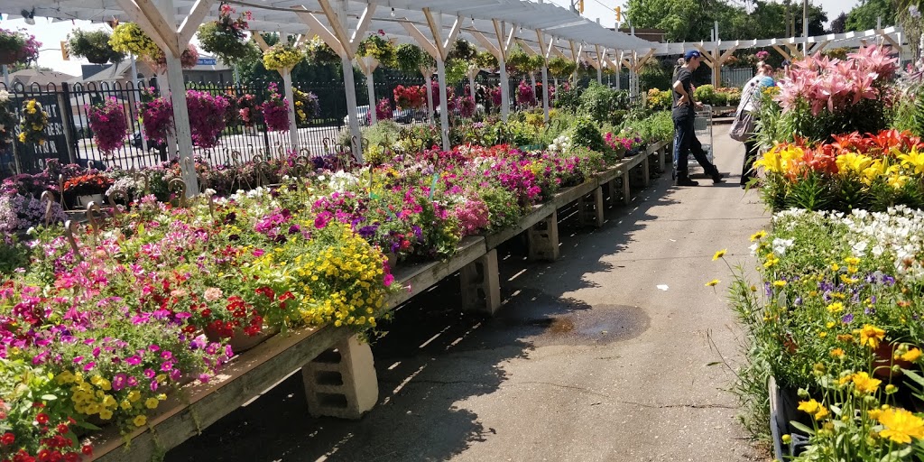 Mississauga Greenhouses Ltd. | 3225 Winston Churchill Blvd, Mississauga, ON L5L 2W1, Canada | Phone: (905) 820-9789