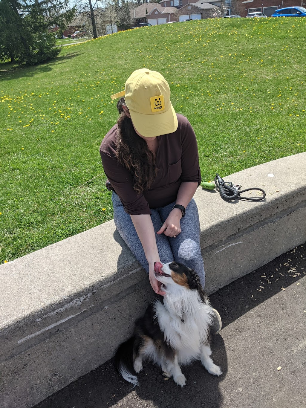 dog walking & boarding waggr durham | 1269 Belair Crescent, Oshawa, ON L1K 1G9, Canada | Phone: (416) 843-7344
