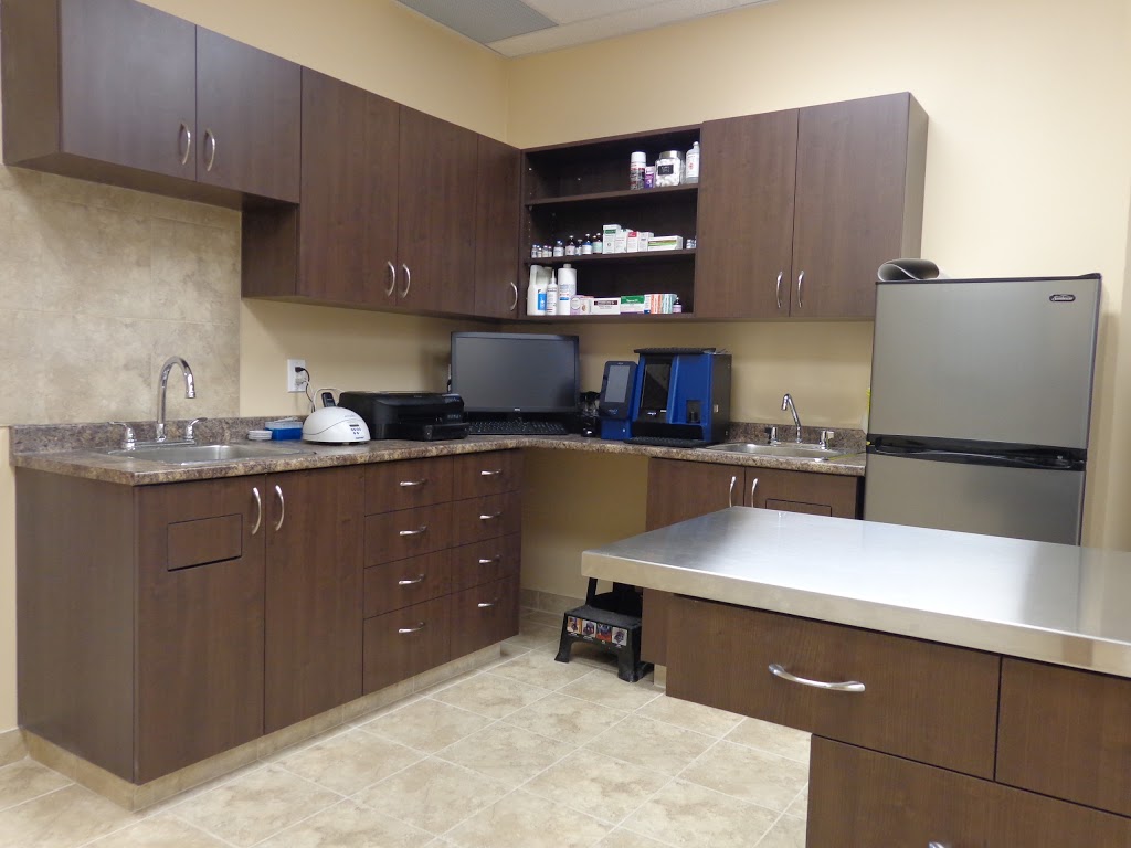 Upper Oakville Pet Hospital | 1011 Upper Middle Rd E a12, Oakville, ON L6H 4L2, Canada | Phone: (905) 338-8387