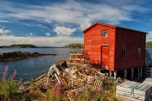 Newfoundland Photography | 18 Talon Ct, Truro, NS B2N 7B4, Canada | Phone: (902) 229-7435