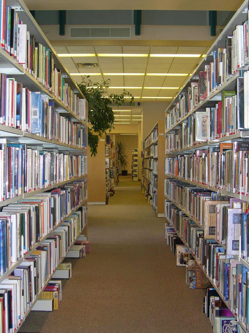 Dollard-des-Ormeaux Public Library | 12001 Boulevard de Salaberry, Dollard-des-Ormeaux, QC H9B 2A7, Canada | Phone: (514) 684-1496