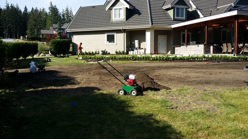Turfcity Lawn Pros + | 693 Fairview St, Coquitlam, BC V3J 4B3, Canada | Phone: (604) 780-5304