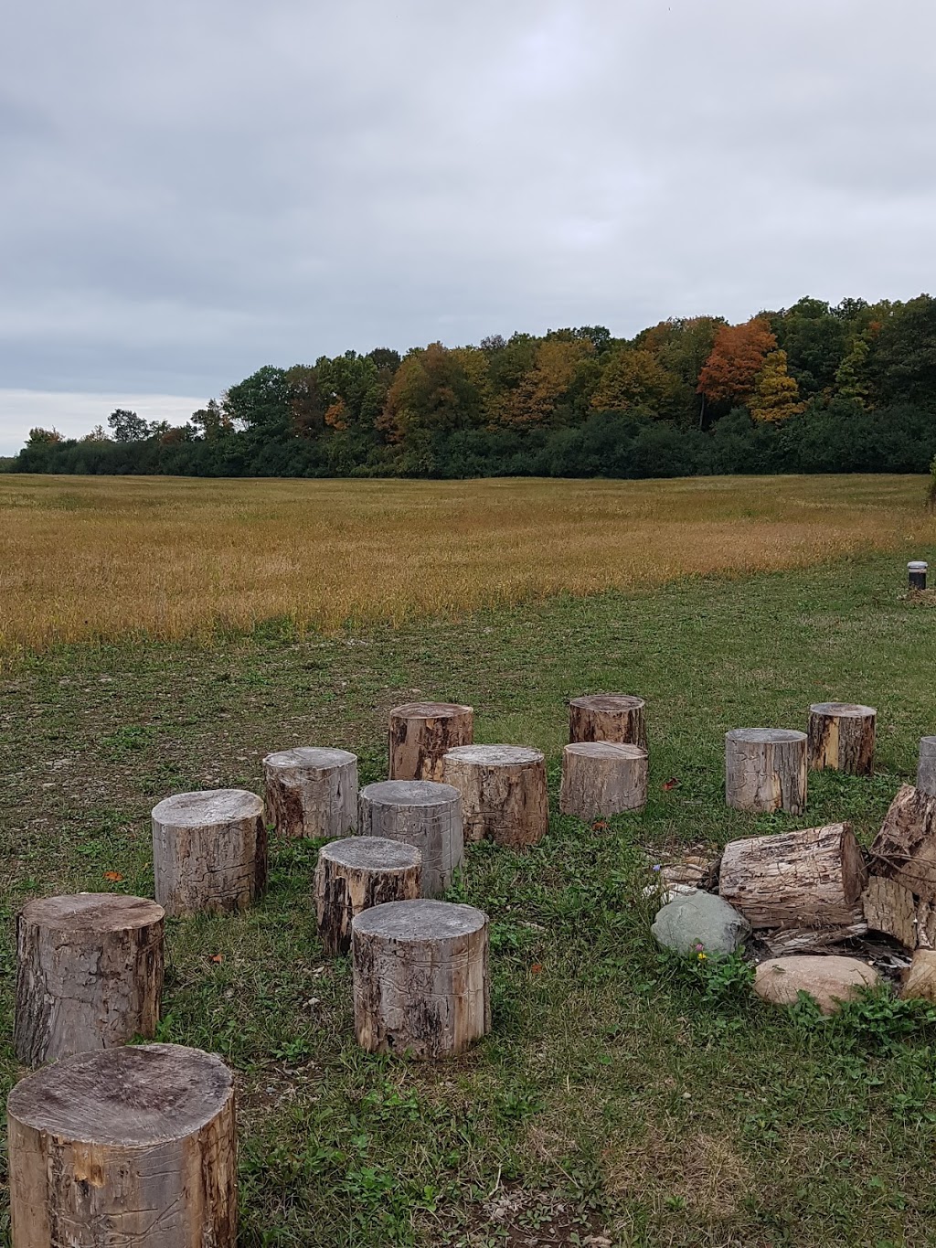 Morandin Wines | 18055 Loyalist Pkwy, Wellington, ON K0K 3L0, Canada | Phone: (416) 948-0746