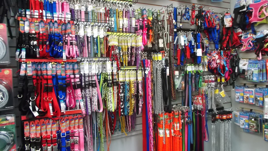 Kats Pet Supplies | 2222 ON-551, Mindemoya, ON P0P 1S0, Canada | Phone: (705) 377-4744