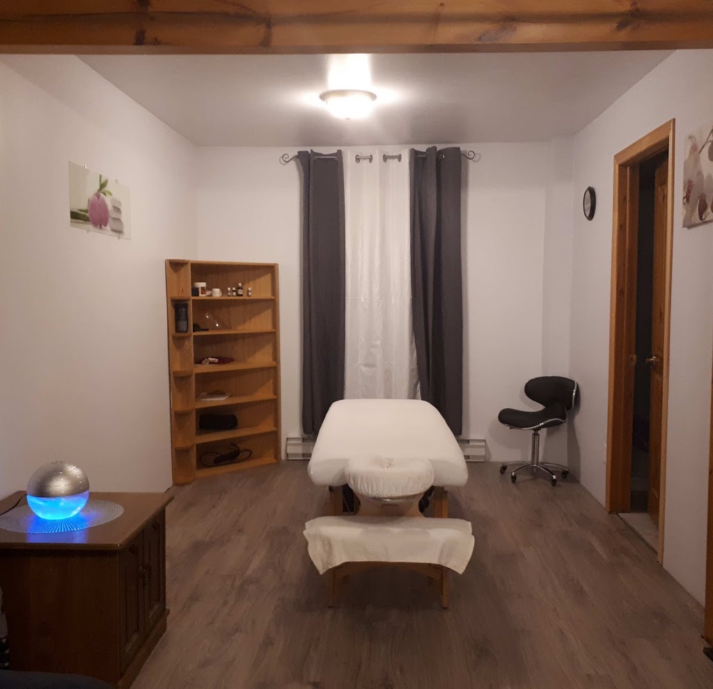Salon lEnvolée - Andrée Dancause - Massothérapie - Orthothérapie | 59 Montée Léonard, Lac-du-Cerf, QC J0W 1S1, Canada | Phone: (819) 430-6763