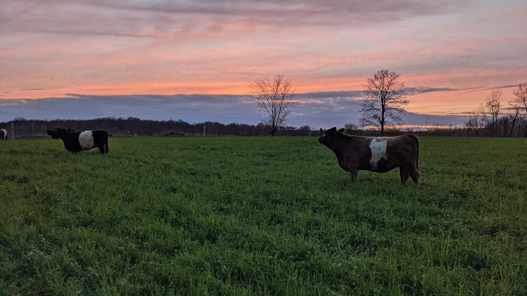 Restoration Acres | 419 Concession 4 W, Hamilton, ON L8B 1J4, Canada | Phone: (905) 630-2364