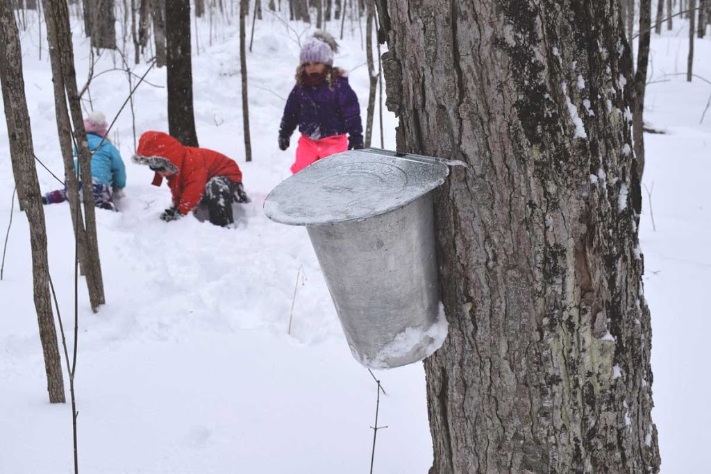 Maple Grove Syrup & Sleigh Rides | 2448 Burnside Line, Severn, ON L3V 0W1, Canada | Phone: (705) 321-2328