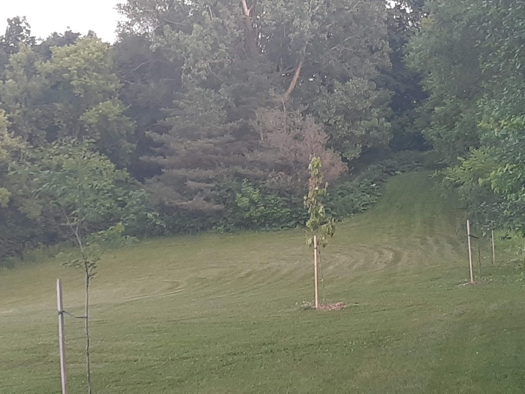 Roselea Park | 75 Mayfield Ave, Waterloo, ON N2J 3R9, Canada