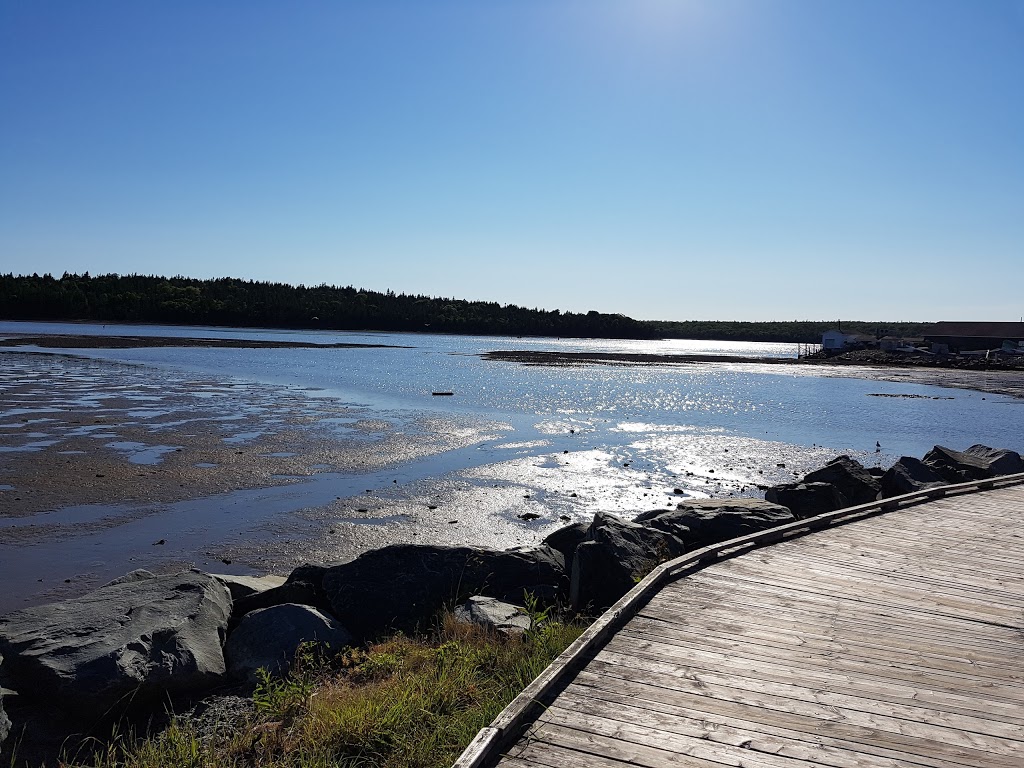 A&M Sea Charters | 87 Government Wharf Rd, Eastern Passage, NS B3G, Canada | Phone: (902) 465-6617