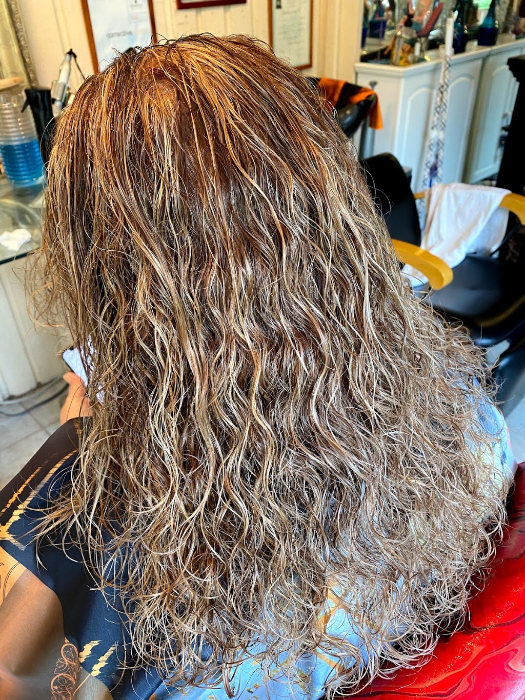 Mina Oskoui hair studio | Gabriola Dr, Coquitlam, BC V3E 1G2, Canada | Phone: (604) 728-8465