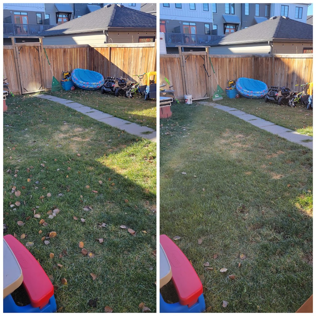In the Line of Doodie | 3207 Kenmare Crescent SW, Calgary, AB T3E 4R4, Canada | Phone: (587) 581-9161