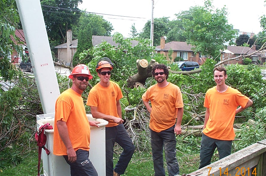 CLC Tree Services Ltd | 7024 Kerr Rd, London, ON N6N 1C5, Canada | Phone: (519) 685-0257