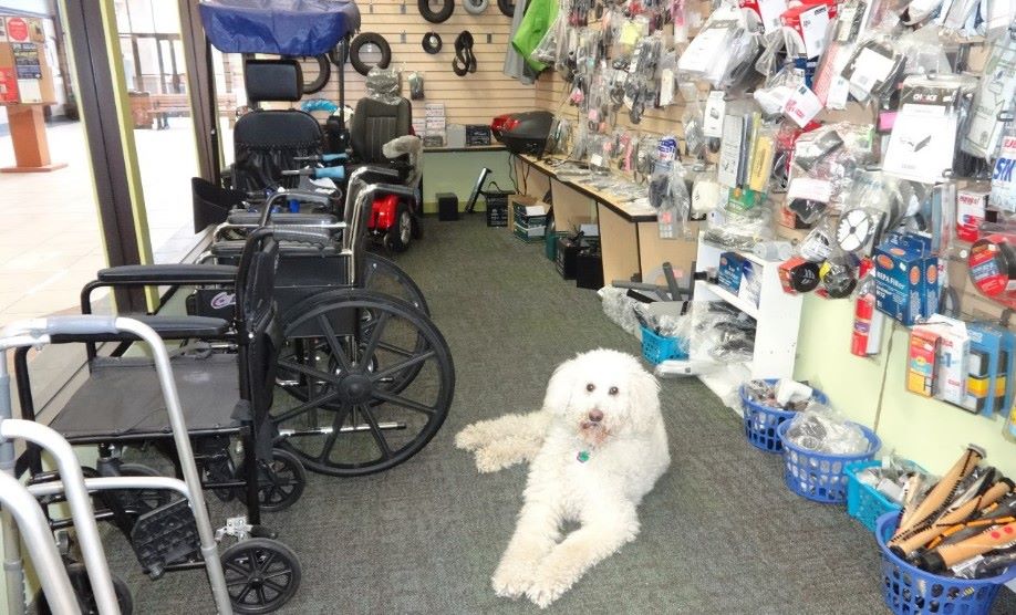 Tcycle | 302-306 trans Canada Hwy SW, Salmon Arm, BC V1E 2Y9, Canada | Phone: (250) 804-0113
