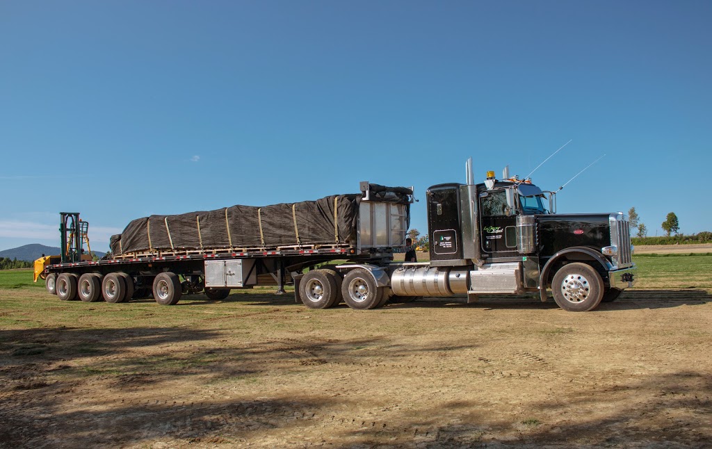 Les Gazons Robert | 331 Rang Chalteau, Lac-Drolet, QC G0Y 1C0, Canada | Phone: (819) 549-2222