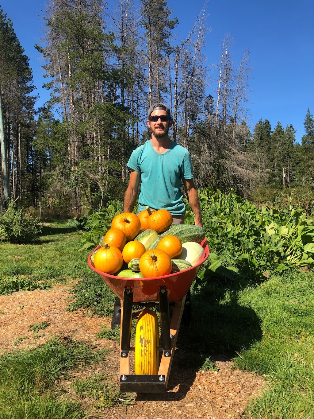 Root Renaissance Farm | 1700 Grafton Ave, Errington, BC V0R 1V0, Canada | Phone: (604) 825-8500