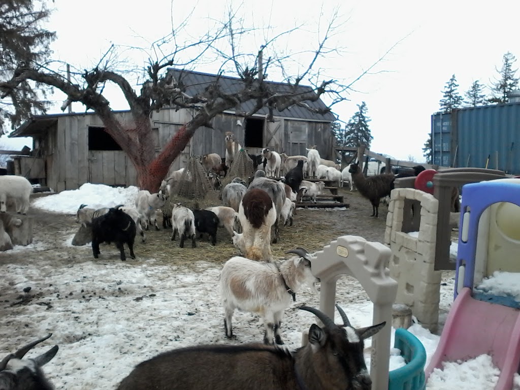 Triple C Farm | 500 Carluke Rd W, Ancaster, ON L9G 3L1, Canada | Phone: (289) 237-9526