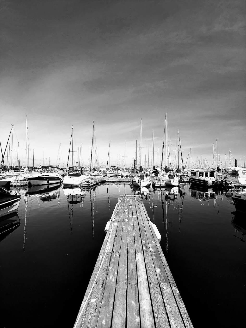 Ocean River Oak Bay Paddle Shack | 1327 Beach Dr, Victoria, BC V8S 2N4, Canada | Phone: (250) 381-4233